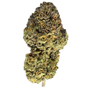 Candy Grape Ecopack Flowers Lucky Hemp