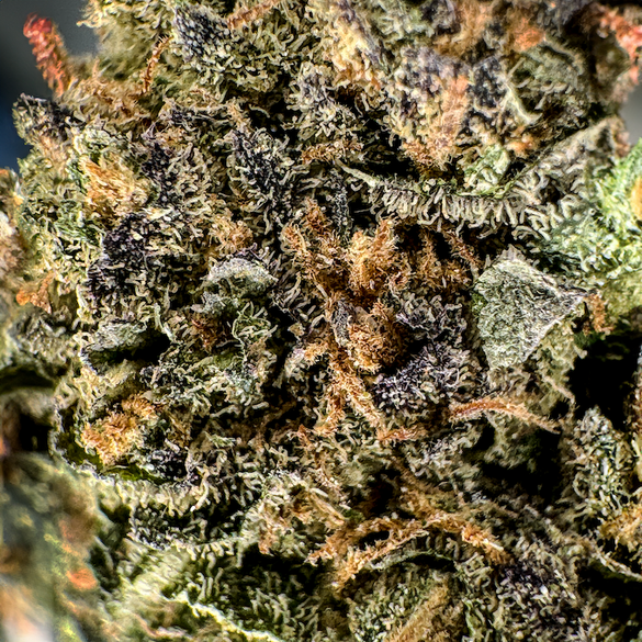 Candy Grape Ecopack Flowers Lucky Hemp