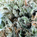Oreoz Flowers Lucky Hemp