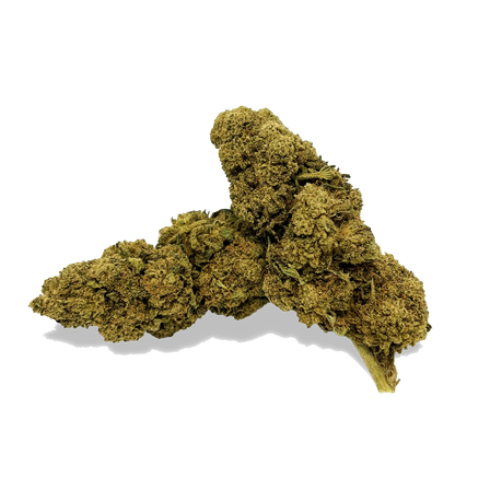White Widow Ecopack