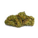 Cinderella Ecopack CBG
