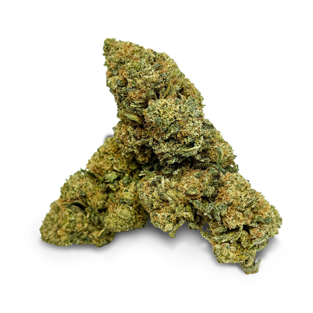 Cinderella Ecopack CBG