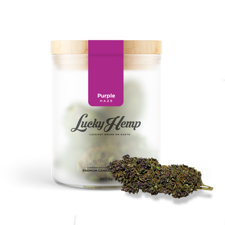 Purple Haze flowers Lucky Hemp
