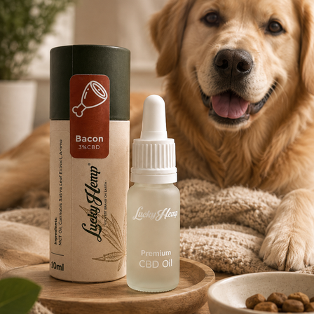 Bacon CBD oil
