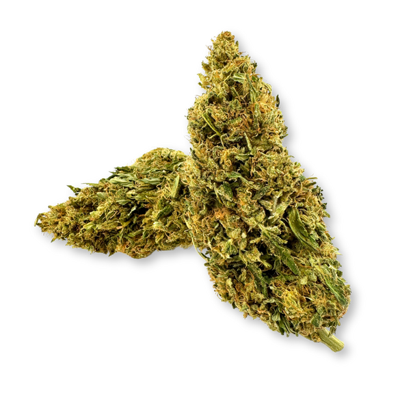 Lemon OG Eco Pack Flowers Lucky Hemp