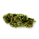 Amnesia Haze Ecopack