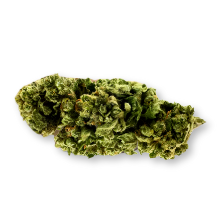 Amnesia Haze Ecopack
