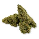 Pack écologique Grand-père Violet