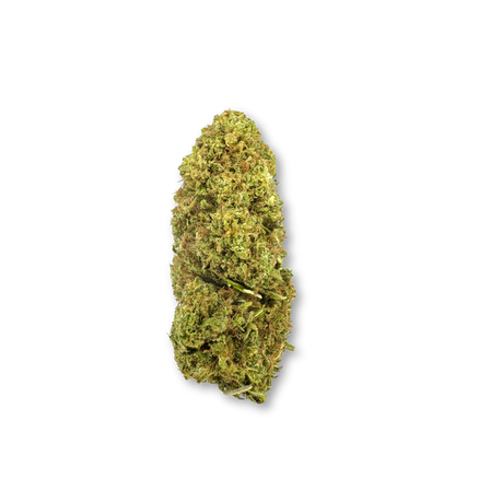 Cheddar OG Ecopack