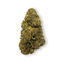 Tropical Haze Restes