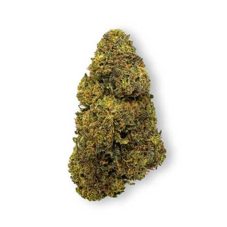 Tropical Haze Restes