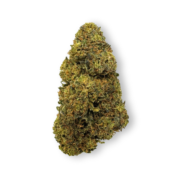 Tropical Haze Restes