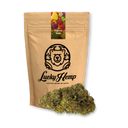 Tropical Haze Restes