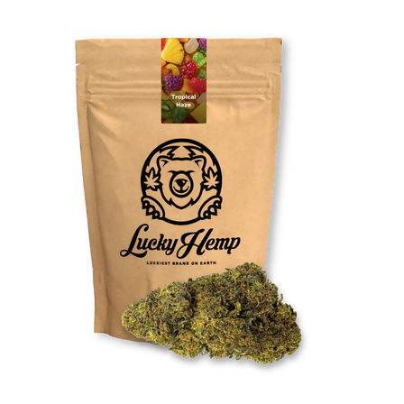 Tropical Haze Restes