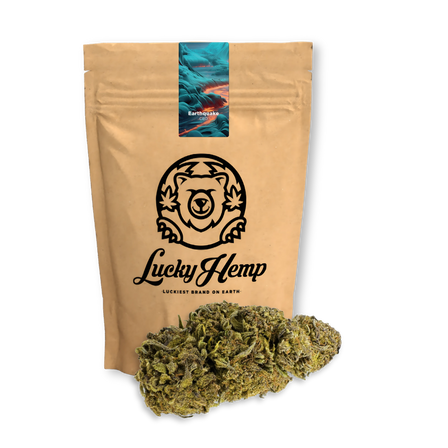 Earthquake CBD