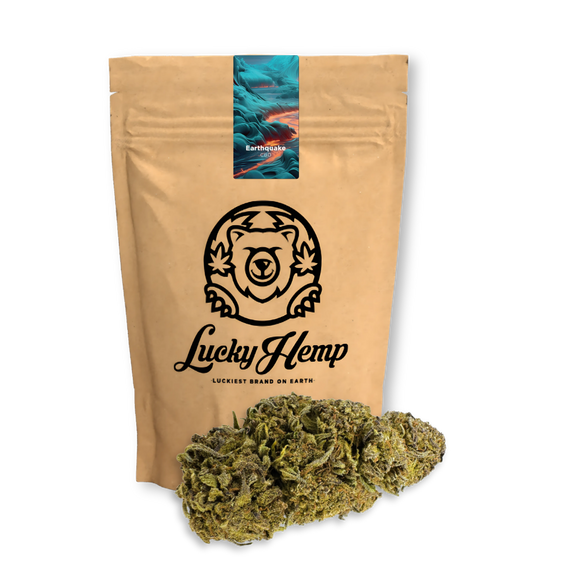 Earthquake CBD