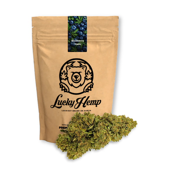 Blueberry Haze ecopack