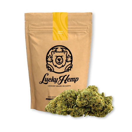 Lemon Gelato Ecopack