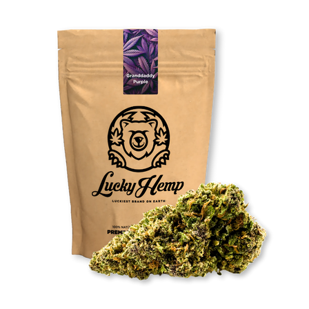 Pack écologique Grand-père Violet