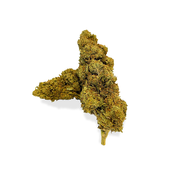 Orange Bud Ecopack