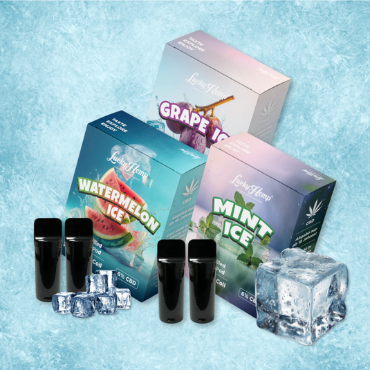 Pack de vapotage Ice Vape