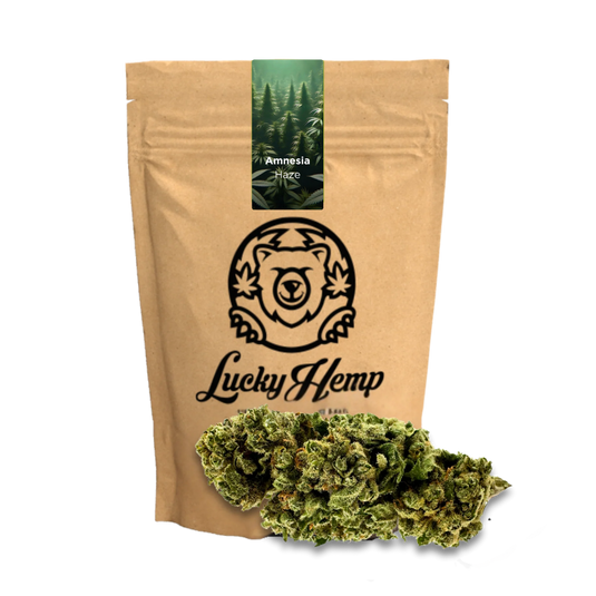 Amnesia Haze Ecopack