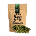 Amnesia Haze Ecopack