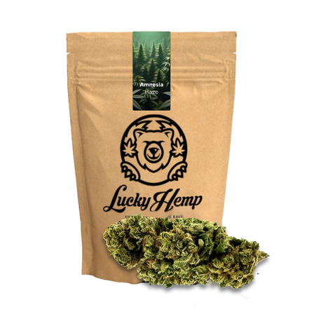 Amnesia Haze Ecopack