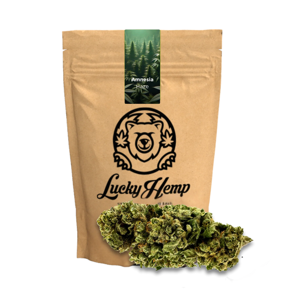 Amnesia Haze Ecopack