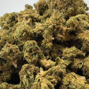 Tropical Haze Restes