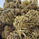 Earthquake CBD