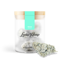 Snow Haze® 41% CBD flowers Lucky Hemp   