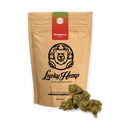 Strawberry Haze Ecopack Flowers Lucky Hemp   